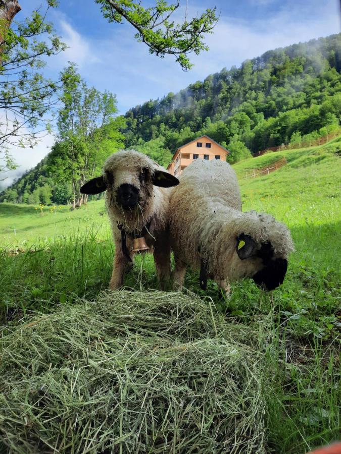 Panoramahof Bergglueck Daire Mellau Dış mekan fotoğraf