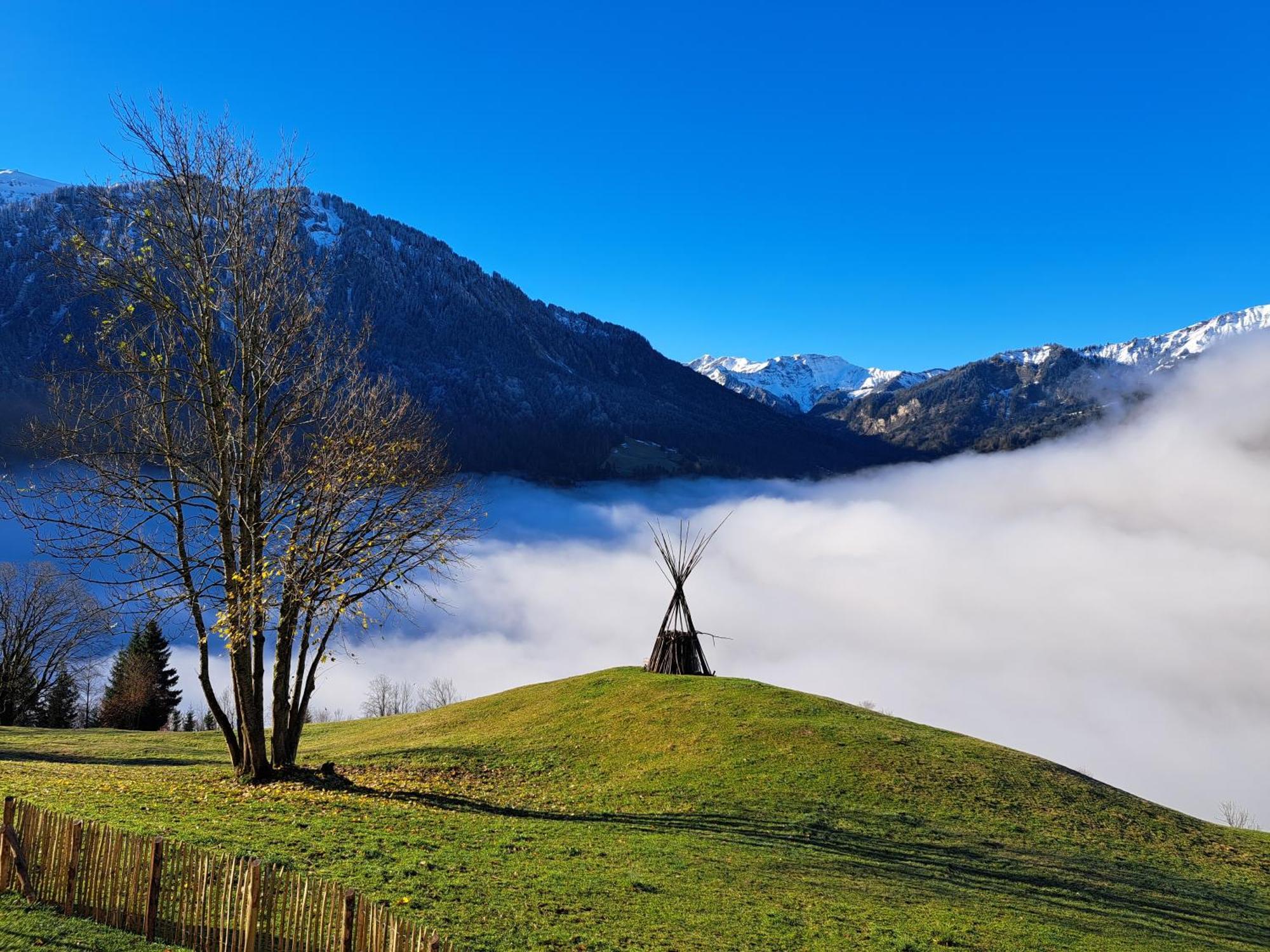 Panoramahof Bergglueck Daire Mellau Dış mekan fotoğraf