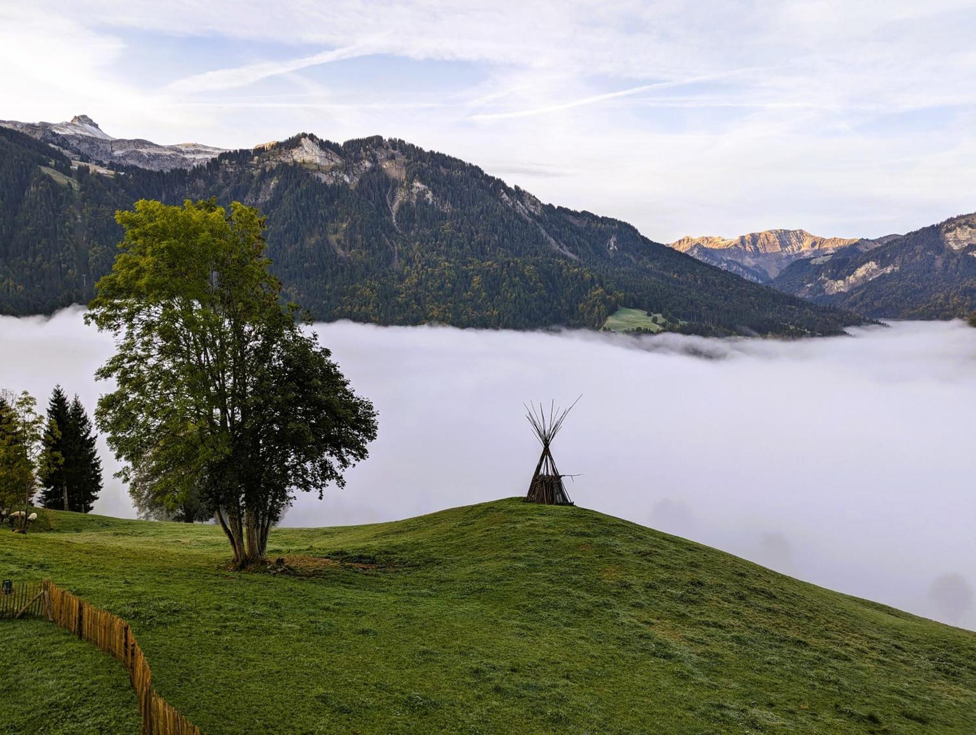 Panoramahof Bergglueck Daire Mellau Dış mekan fotoğraf
