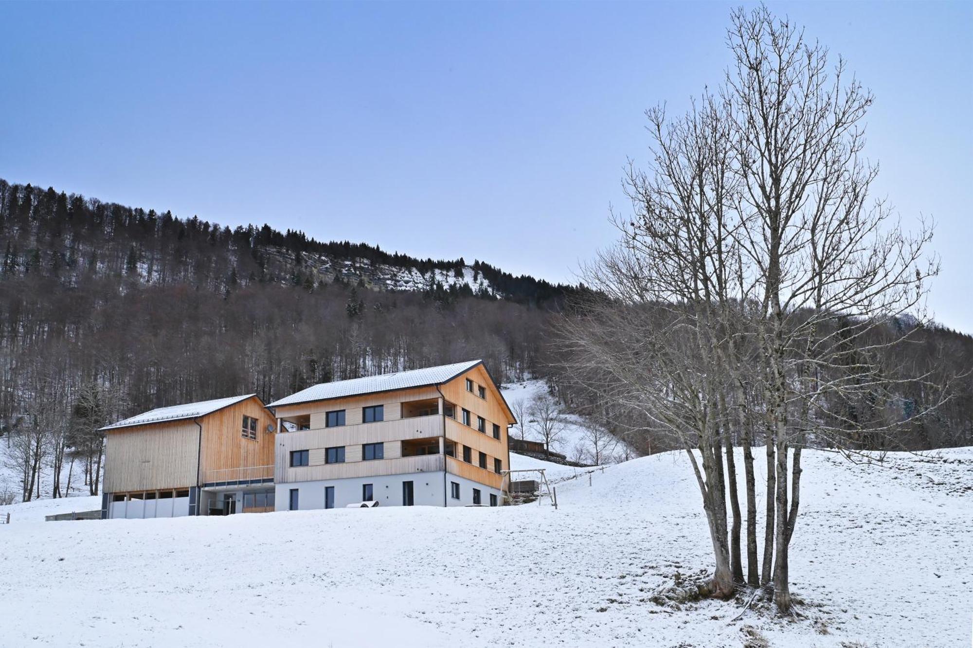 Panoramahof Bergglueck Daire Mellau Dış mekan fotoğraf