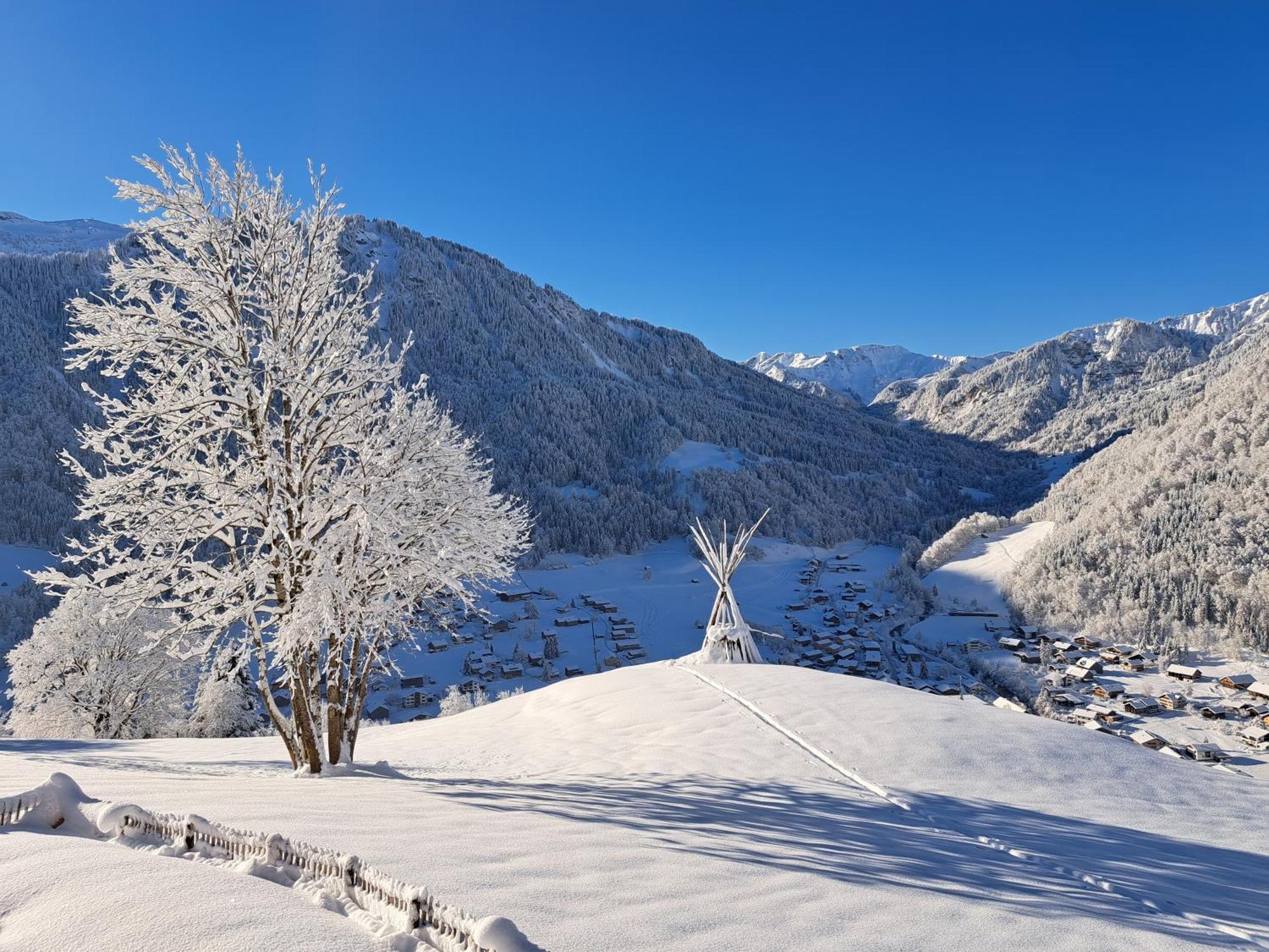 Panoramahof Bergglueck Daire Mellau Dış mekan fotoğraf