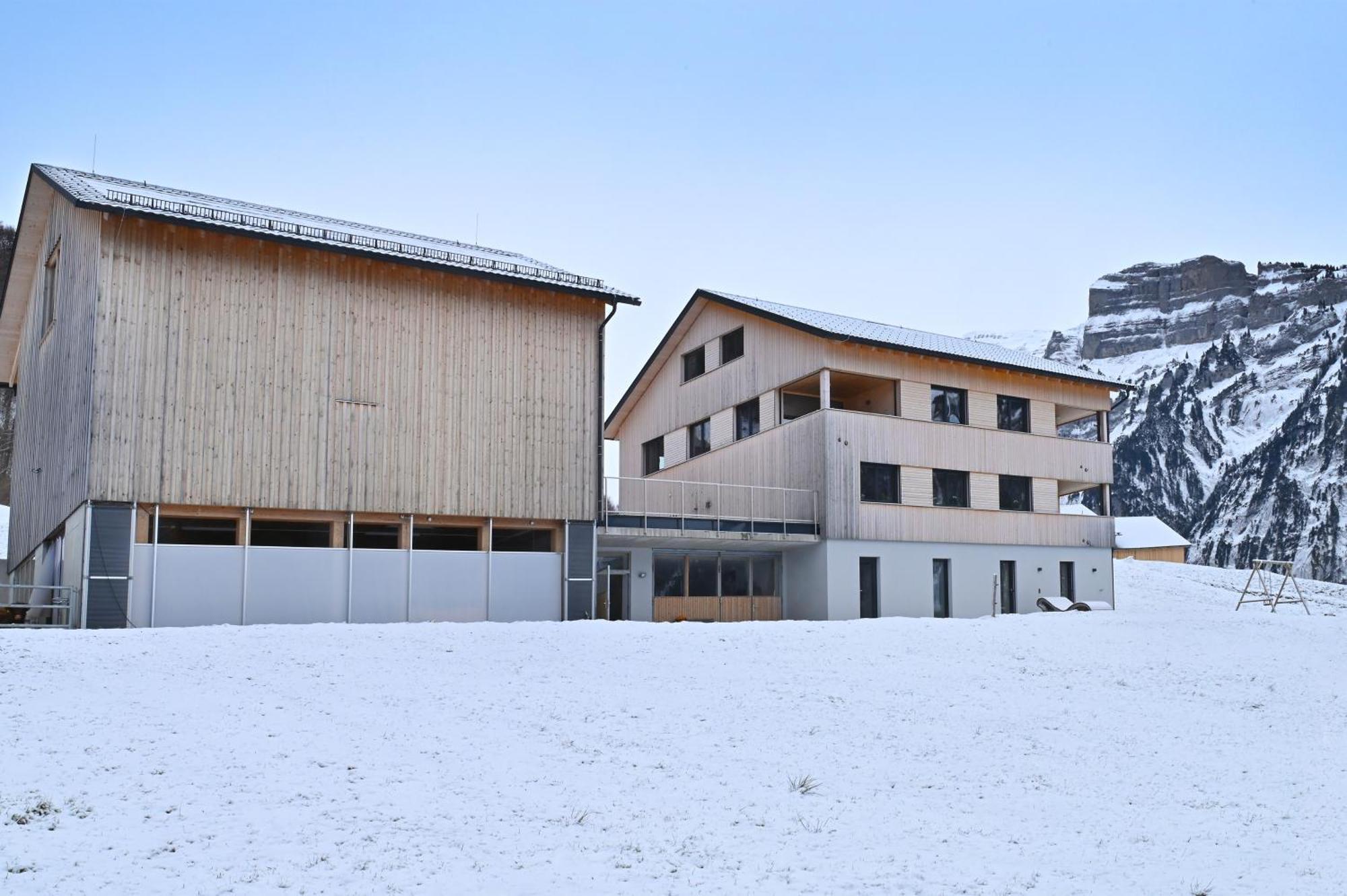 Panoramahof Bergglueck Daire Mellau Dış mekan fotoğraf